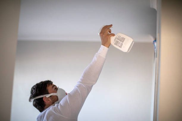 Best Mold Remediation for Specific Building Types in Norton, KS