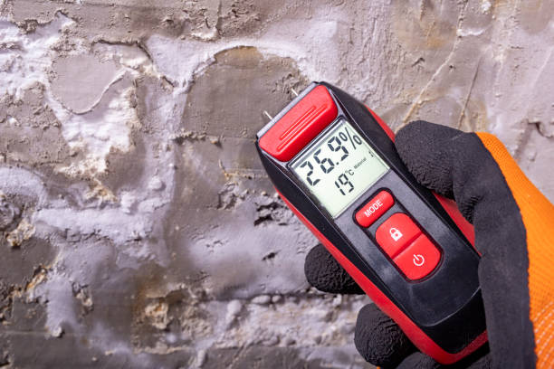 Best Attic Mold Remediation in Norton, KS