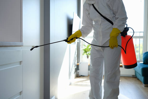 Trusted Norton, KS Mold Remediation Experts